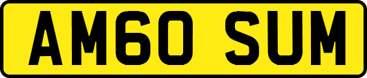 AM60SUM