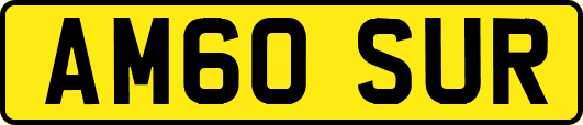 AM60SUR