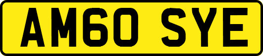 AM60SYE