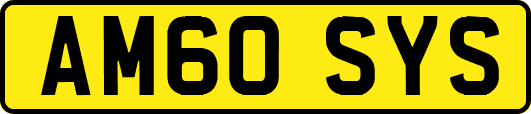 AM60SYS
