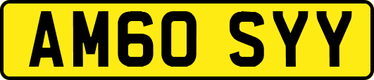 AM60SYY
