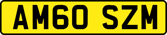 AM60SZM