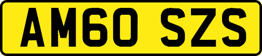 AM60SZS