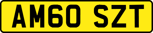 AM60SZT