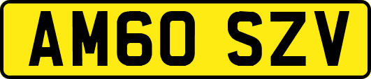 AM60SZV