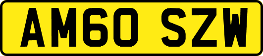 AM60SZW