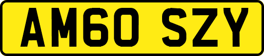 AM60SZY