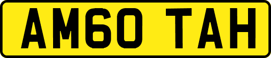 AM60TAH