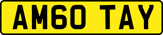 AM60TAY