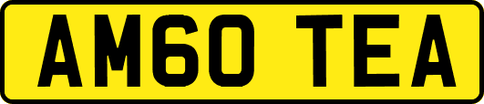 AM60TEA