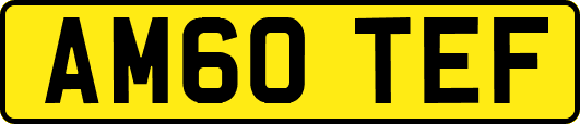 AM60TEF