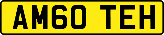 AM60TEH