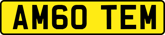AM60TEM