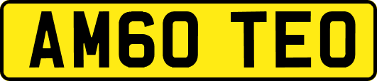 AM60TEO