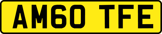 AM60TFE