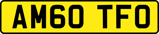 AM60TFO