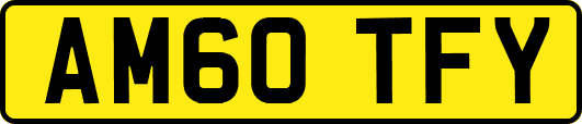 AM60TFY