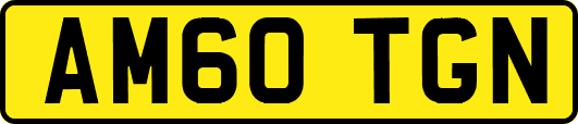 AM60TGN