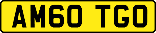 AM60TGO