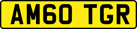 AM60TGR