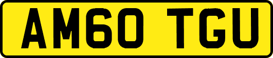 AM60TGU