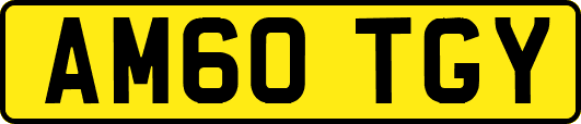 AM60TGY