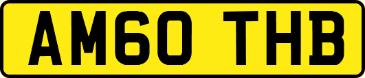 AM60THB