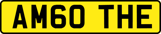 AM60THE