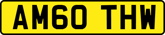 AM60THW