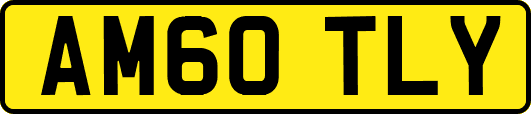 AM60TLY