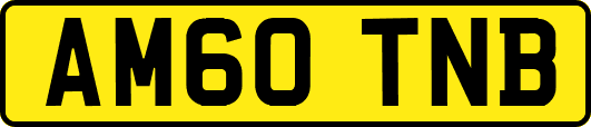 AM60TNB