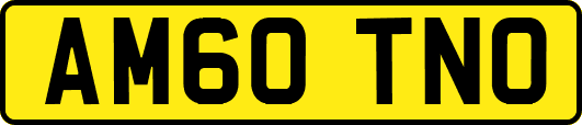 AM60TNO