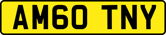 AM60TNY