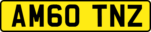 AM60TNZ