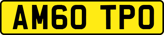 AM60TPO