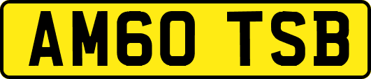 AM60TSB