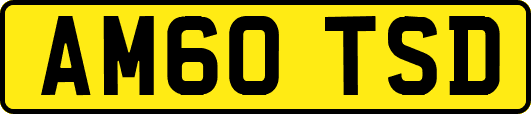 AM60TSD