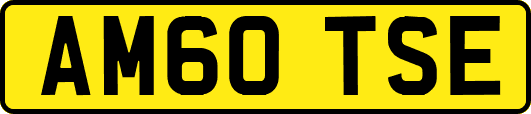 AM60TSE