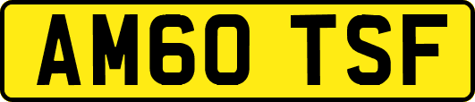AM60TSF