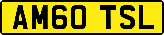 AM60TSL