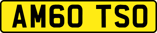 AM60TSO