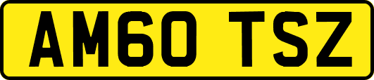 AM60TSZ