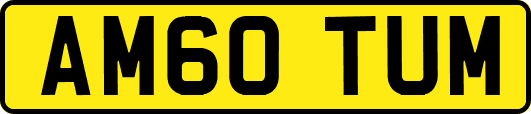 AM60TUM