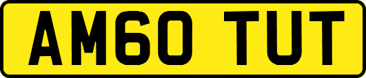 AM60TUT
