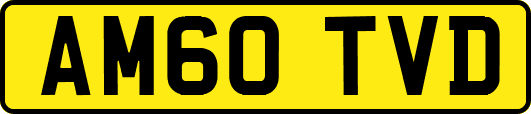 AM60TVD
