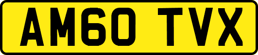 AM60TVX