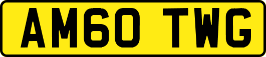 AM60TWG