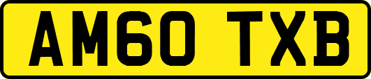 AM60TXB