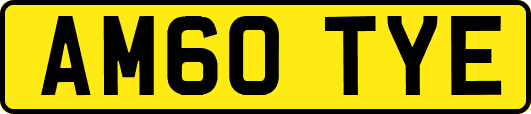 AM60TYE