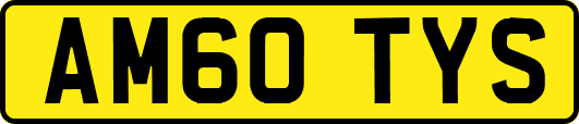 AM60TYS